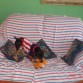 ESTA CON LA CAMISETA DEL JUNIOR DE BARRANQUILLA, JUGANDO CON UNO DE SUS MUÑECOS.